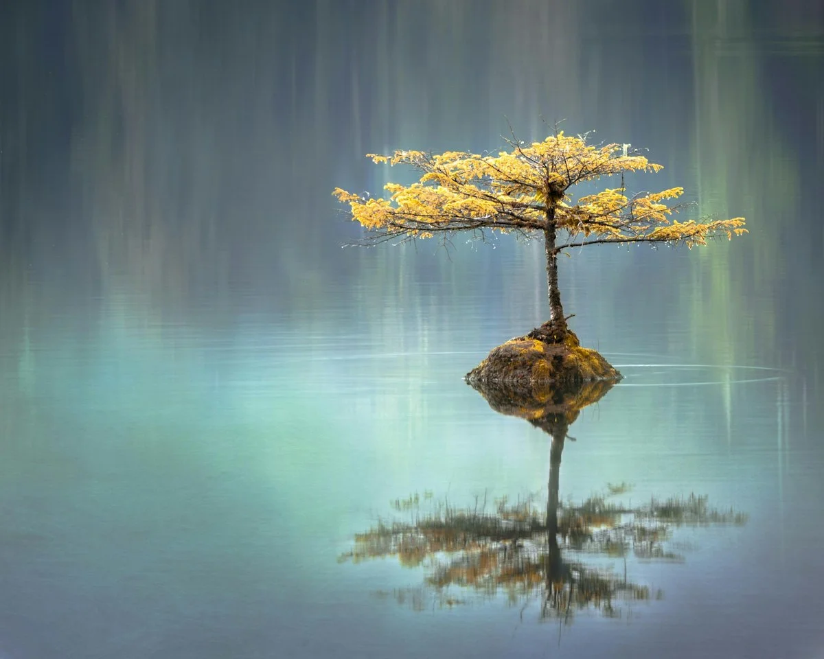 MBSR Nedir? 5 Dakikalık Nefes Meditasyonu ile Stres Azaltma